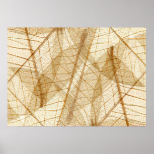 Rustic Sheer Snöre Lövs Poster