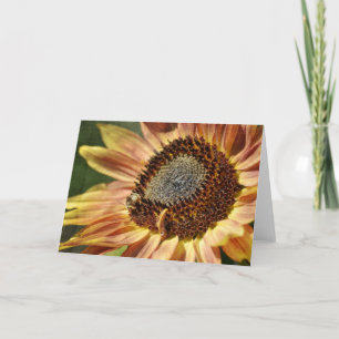 Rustic Solros Kort