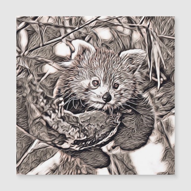 Rustic Stil - Red Panda (Framsida)