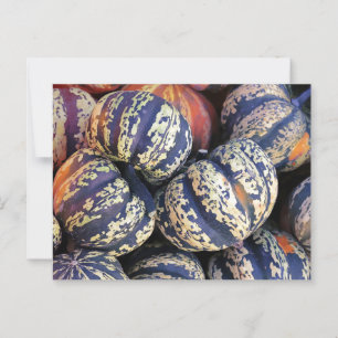 Rustic Stripe Pumpkins Vykort