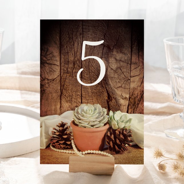Rustic Succulents Barn Wood Bröllop Bordsnummer (Skapare uppladdad)