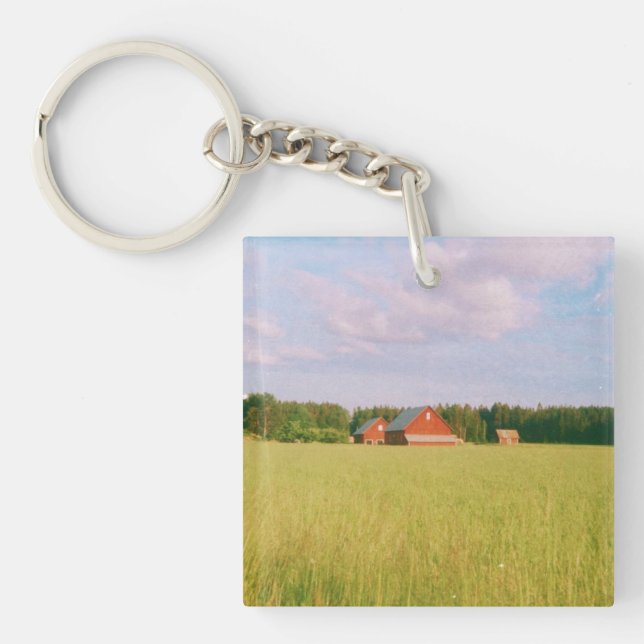 Rustic summer field, Helsingia, Sweden (Framsidan)