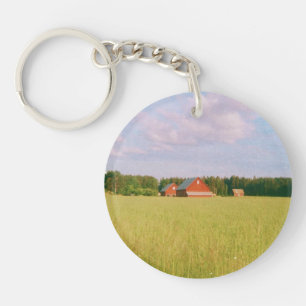 Rustic summer field, Helsingia, Sweden