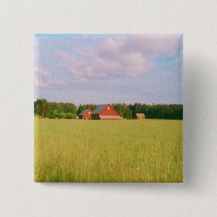 Rustic summer field, Helsingia, Sweden Knapp