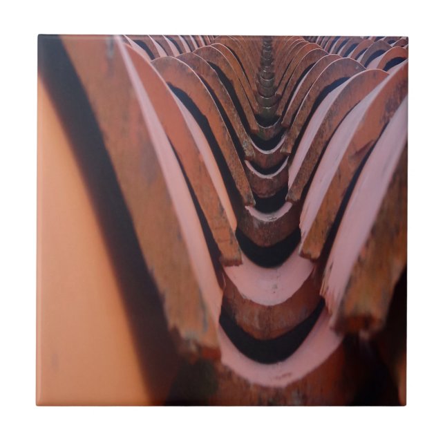 Rustic Tak-plattor med unikt perspektiv Kakelplatta (Framsidan)