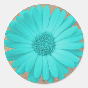 Rustic Teal Gerber Daisy Round Stickers Sälar Runt Klistermärke