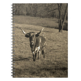 Rustic Texas Longhorn cattle ranch buch ko Anteckningsbok