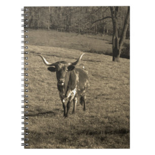 Rustic Texas Longhorn cattle ranch buch ko Anteckningsbok