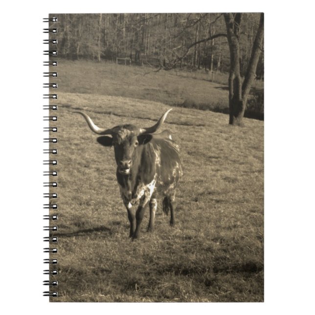 Rustic Texas Longhorn cattle ranch buch ko Anteckningsbok (Framsidan)