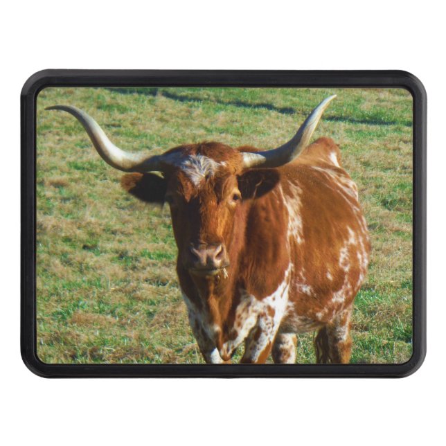 Rustic Texas Longhorn cattle ranch buch ko Skydd För Dragkrok (Framsidan)