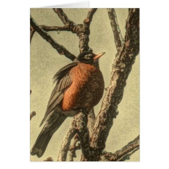 Rustic Träd grenar Michigan State Bird Robin Hälsningskort (Framsidan)