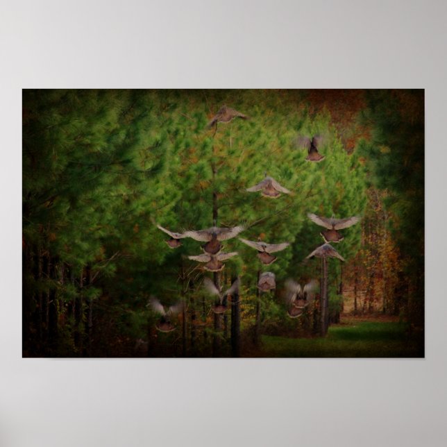 Rustic Turkey's In Flight Poster (Framsidan)