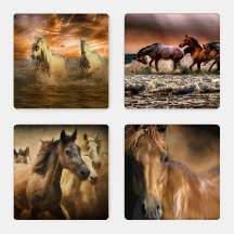 Rustic Vild Horses in Nature