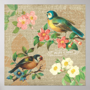 Rustic Vintage Birds and Flowers Shabby Elegance Poster