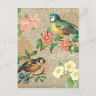 Rustic Vintage Birds and Flowers Shabby Elegance Vykort