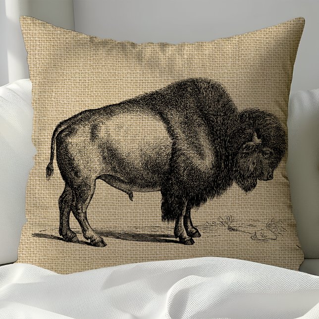 Rustic Vintage Line Art Buffalo Kudde (Skapare uppladdad)