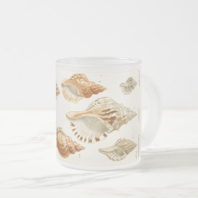 Rustic Vintage Mollusks Seashell-kaffe Mugg (Framsida höger)