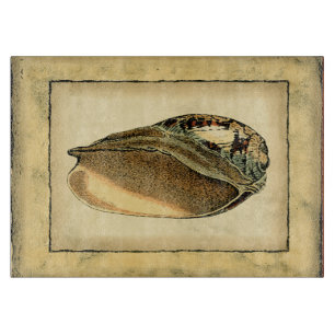 Rustic Vintage Seashell