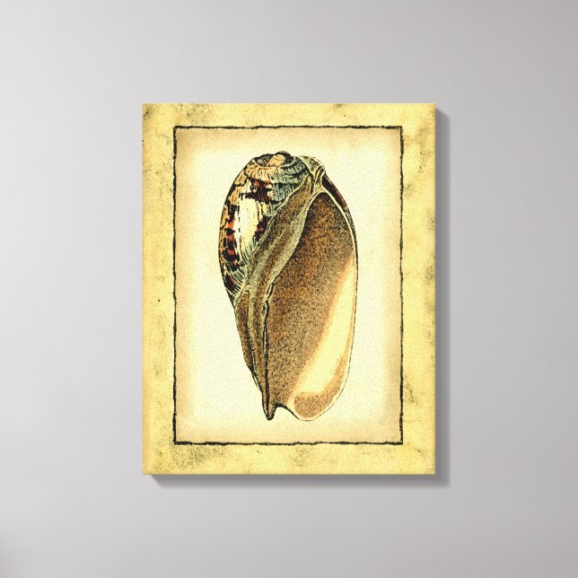 Rustic Vintage Seashell Canvastryck (Framsida)