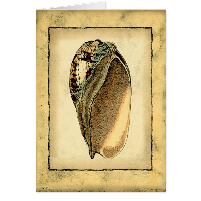 Rustic Vintage Seashell Hälsningskort (Framsidan)