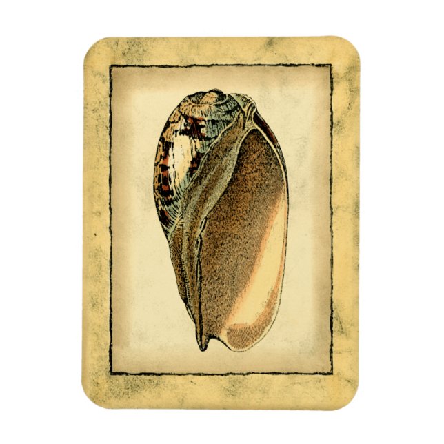 Rustic Vintage Seashell Magnet (Vertikal)