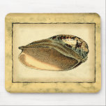 Rustic Vintage Seashell Musmatta<br><div class="desc">Den här teckningen från Vision Studio fångar några av de bästa havsvattenlivets. Hämta den här biet i konturteckningen av den här snäckan. Ta med dig havet överallt.</div>