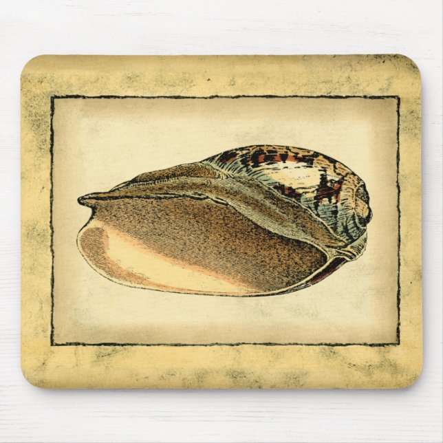 Rustic Vintage Seashell Musmatta (Framsidan)