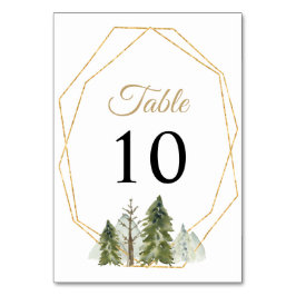 Rustic Watercolor Mountains Gräs Winter Wedding Bordsnummer