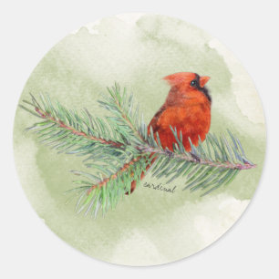 Rustic Watercolor Sweet Red Kardinal Runt Klistermärke