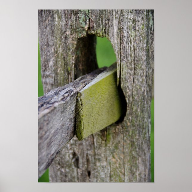 Rustic Weasted Fence Post Poster (Framsidan)