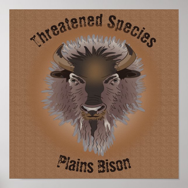 Rustic Western Plains Bison Poster (Framsidan)