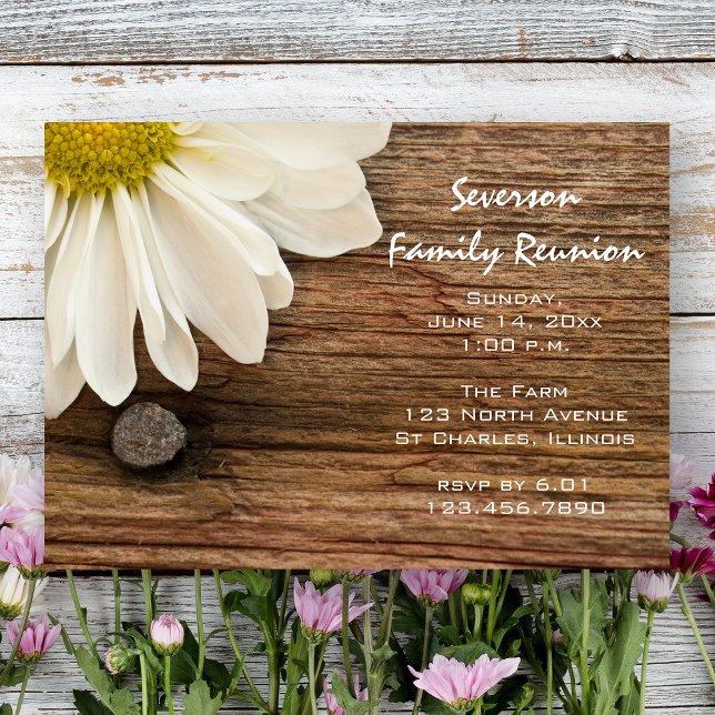 Rustic White Daisy och Barn Wood Family Reunion Inbjudningar (Skapare uppladdad)