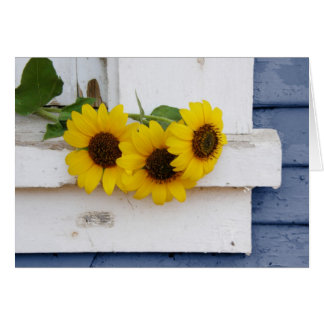 Rustic Windows sill OBS Kort