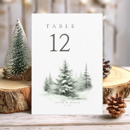 Rustic Winter Wedding Bord nr Grönt ID1049 Inbjudningar