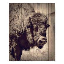 Rustic Wood Buffalo Photo Vild Western