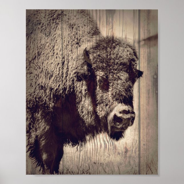 Rustic Wood Buffalo Photo Vild Western Poster (Framsidan)