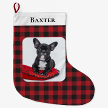 Rustig röd svart kontroll Pet Photo Hund