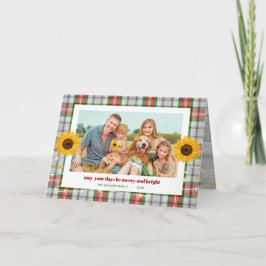 Rustig solrosfamiljens solrosfoto jul kort