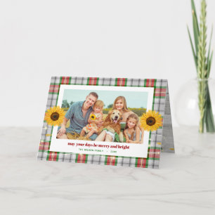 Rustig solrosfamiljens solrosfoto jul kort