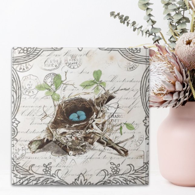 Rustik chic fransk land botaniskt fågelvilt i kakelplatta (rustic chic french country botanical bird nest tile)