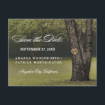 Rustik Ek Utanpåliggande Land Save The Date Meddelande Vykort<br><div class="desc">Rustik Ek Utanpåliggande Land Save The Date Postkort - har en ekdunge. Designen har också ett element där du kan inrista initialer i det huvudsakliga trädet. Bakgrunden visar en skogsmiljö i gröna nyanser med eleganta typsnitt. Se hela den matchande kollektionen nedan.</div>