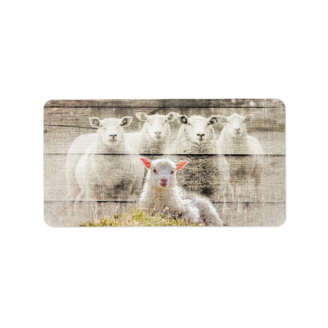 Rustik får Baby Lamb Burlap Adressetikett (Framsidan)