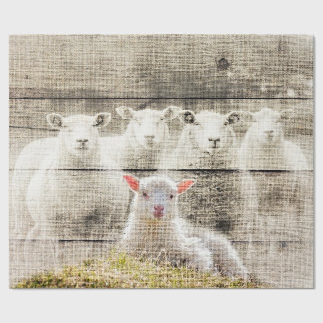 Rustik får Baby Lamb Burlap Presentpapper (Platt)