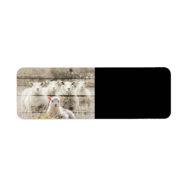 Rustik får Baby Lamb Burlap Returadress Etikett (Framsidan)