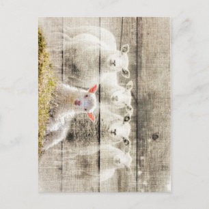 Rustik får Baby Lamb Burlap Vykort