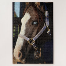 Rustik Hästfotograferingspussel - Originalfoto