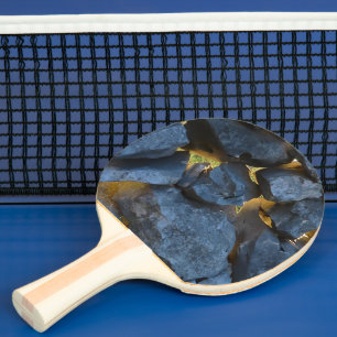 Rustik kroatisk stenväggfotografi pingisracket