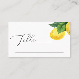 Rustik Lemon Bröllop | Citrus Botanisk Trädgård Placeringskort