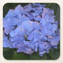 Rustik Lila Hydrangea macrophylla 
