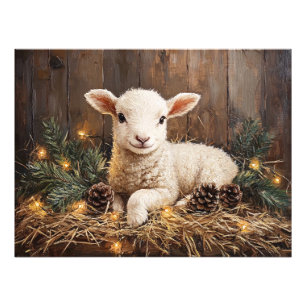 Rustik målning för Cute Jul Lamb Fototryck